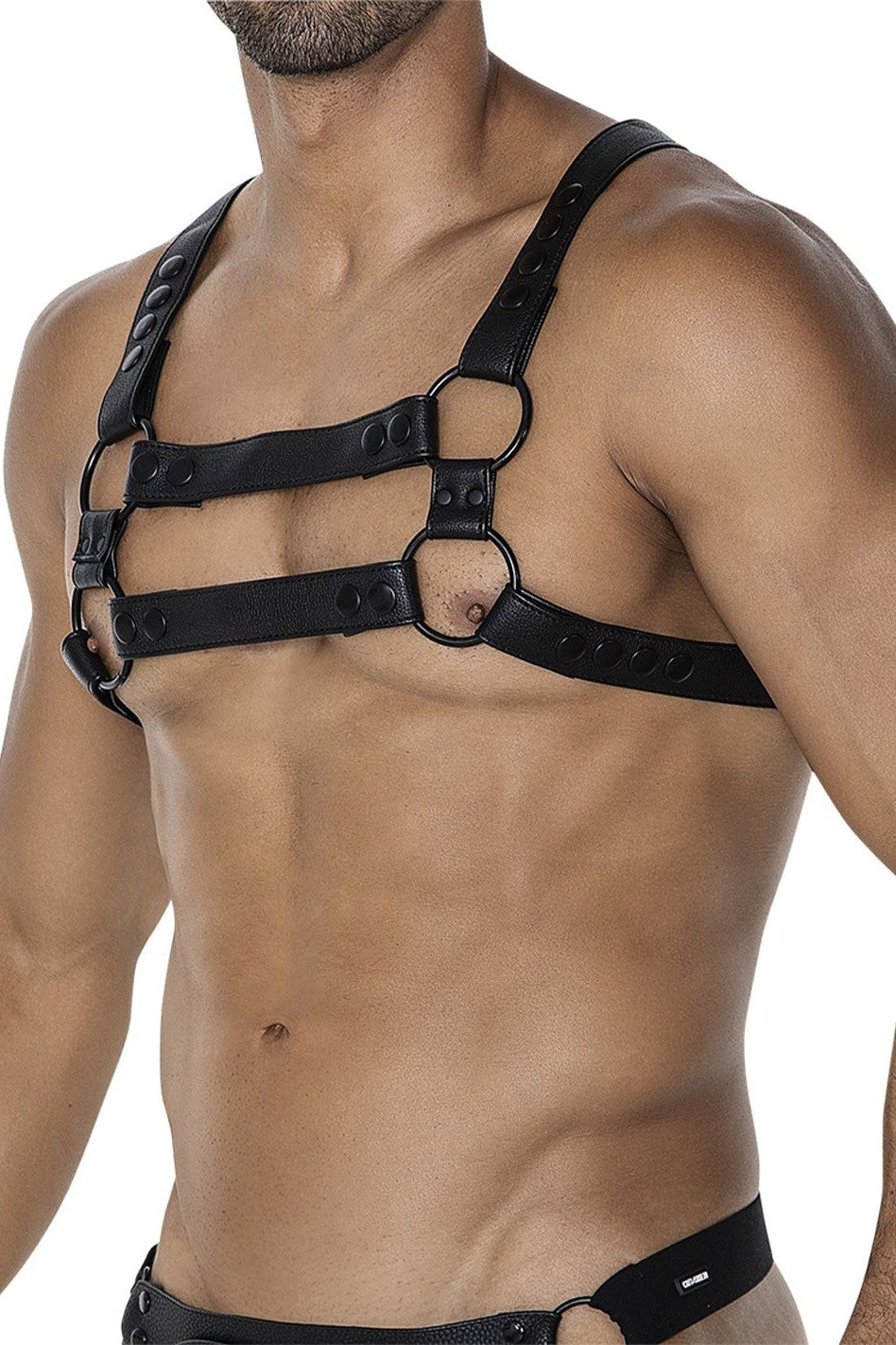 4-Way Harness