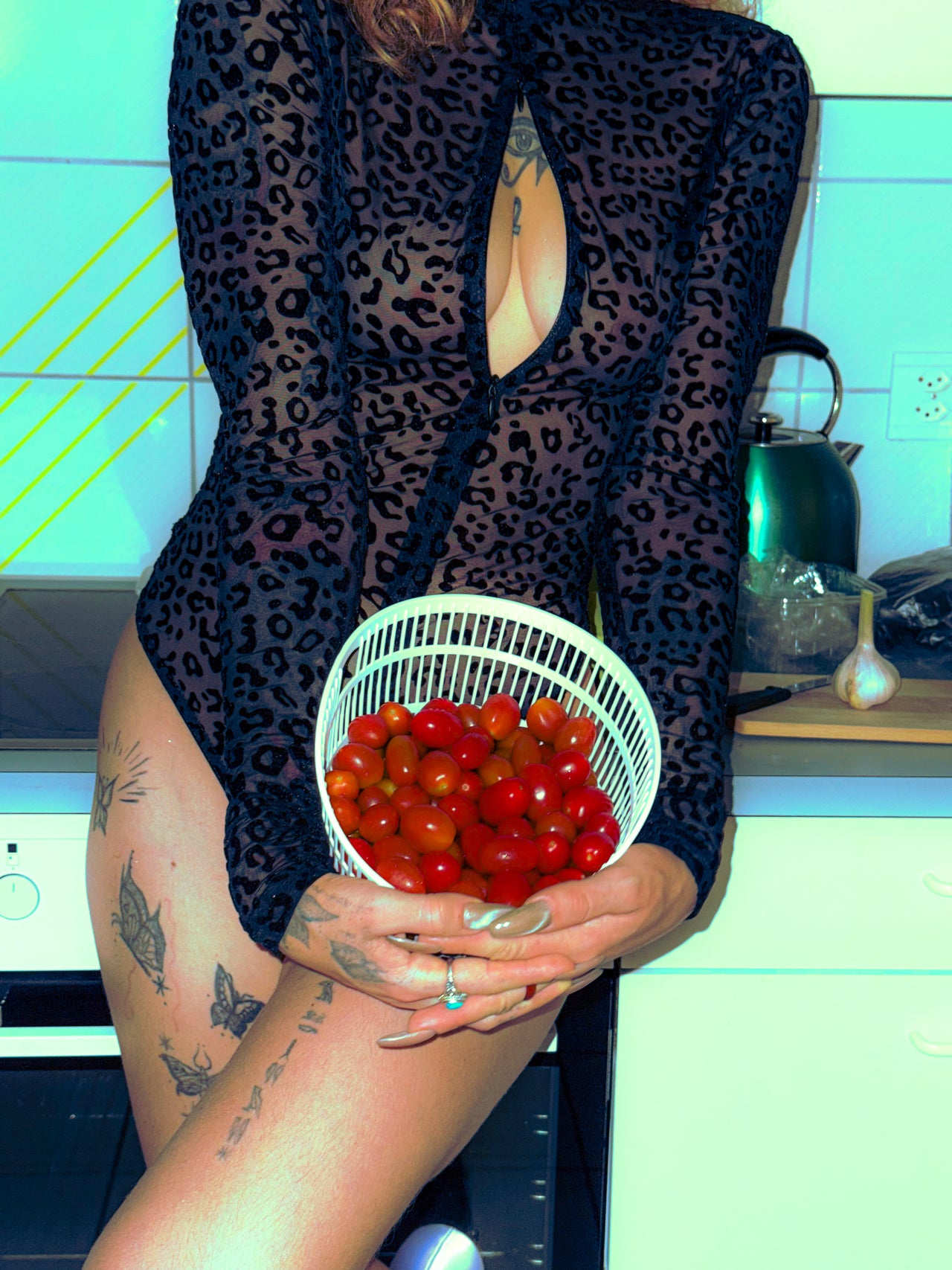 Corps de troupeau de Lion